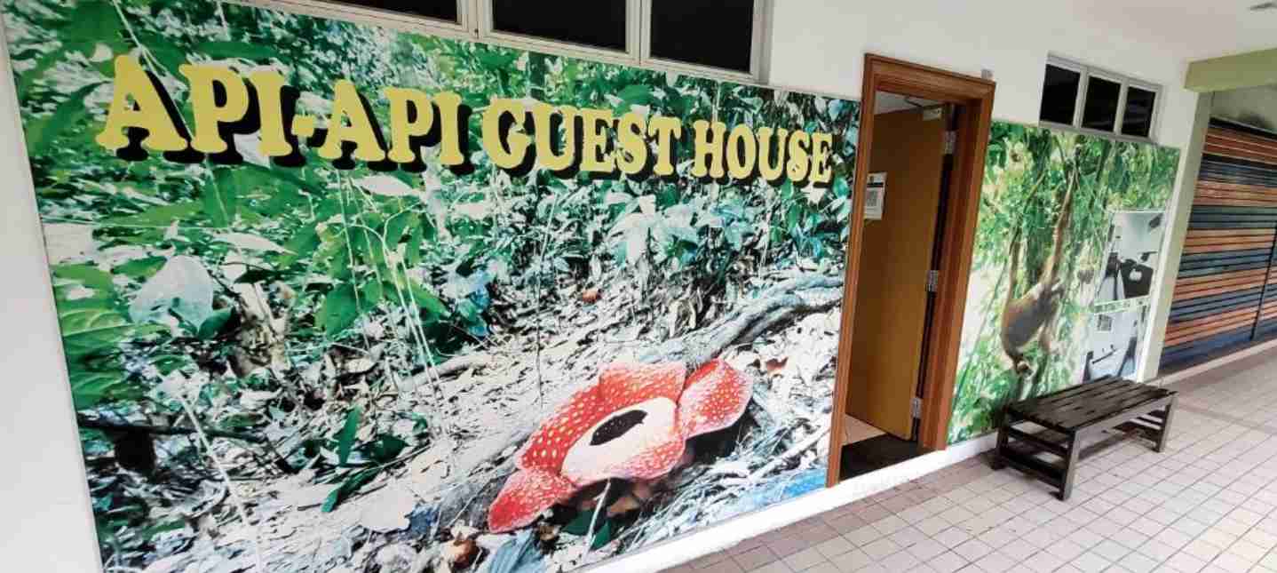 Api Api Guesthouse accommodation photo