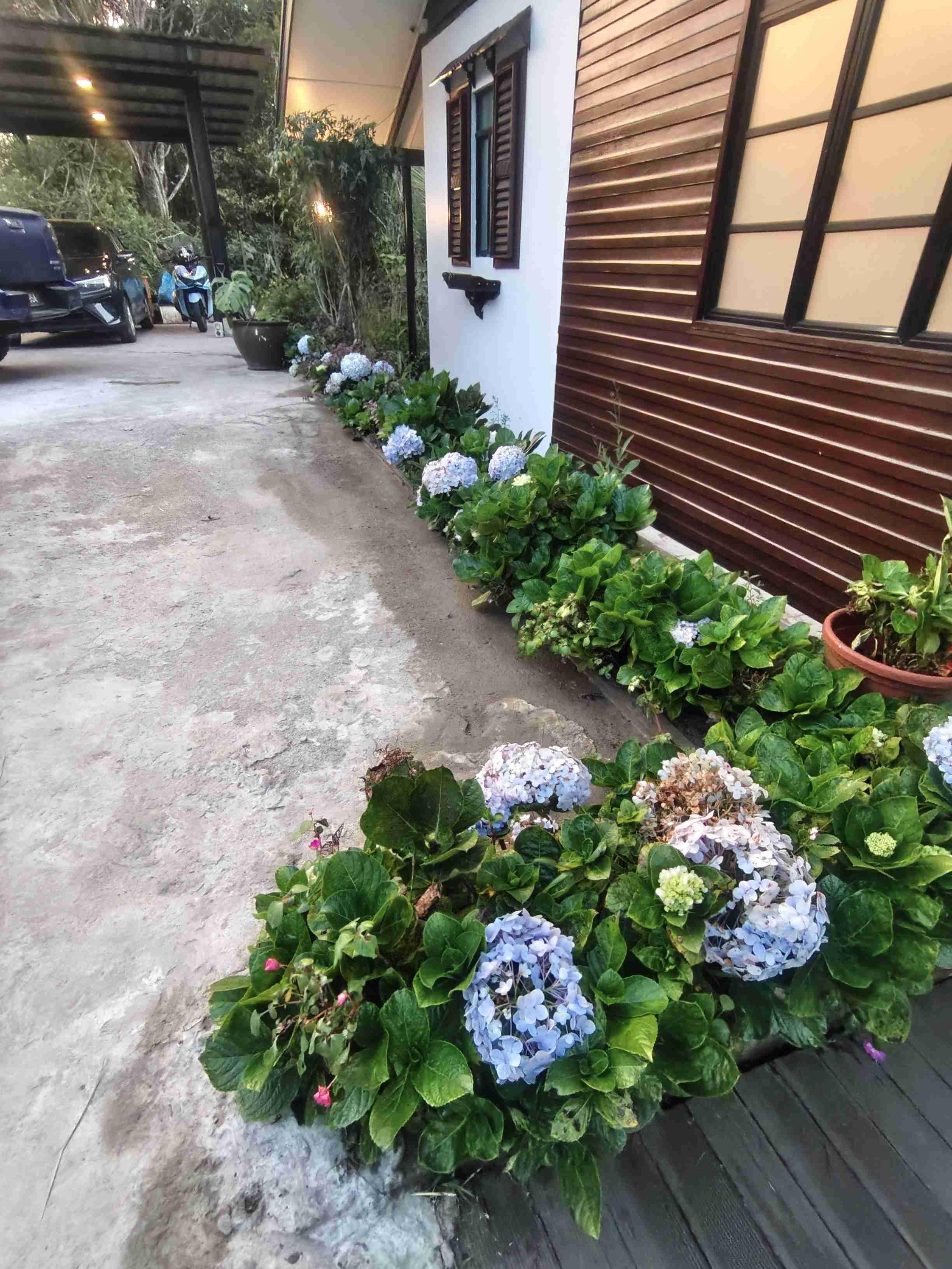 Kina-Arcadia Kundasang Golf & Garden Villa by Ayuhouz accommodation photo